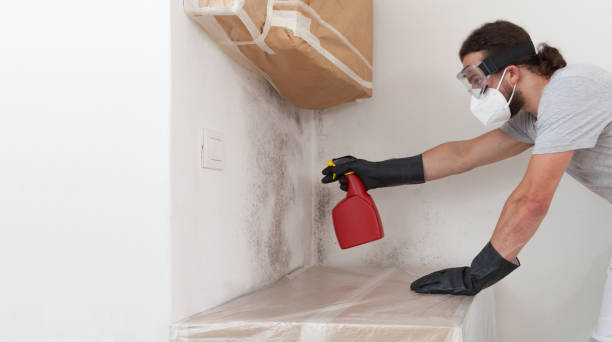 Professional Crawl Space Mold Remediation technician working in Seaside Heights, NJ